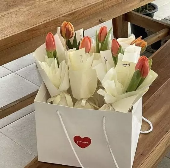 강남초원의집후기